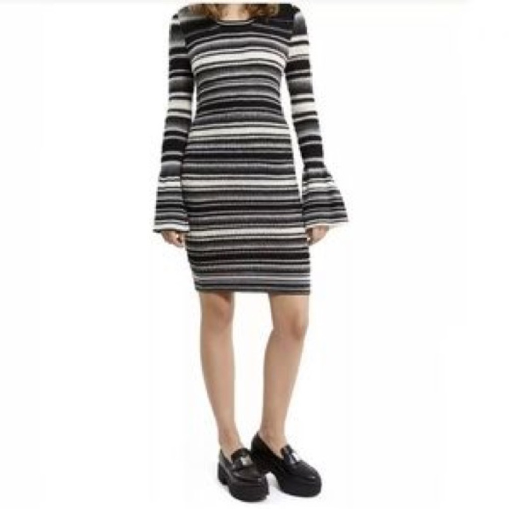 Opening Ceremony variegated bell sleeve sweater dress.